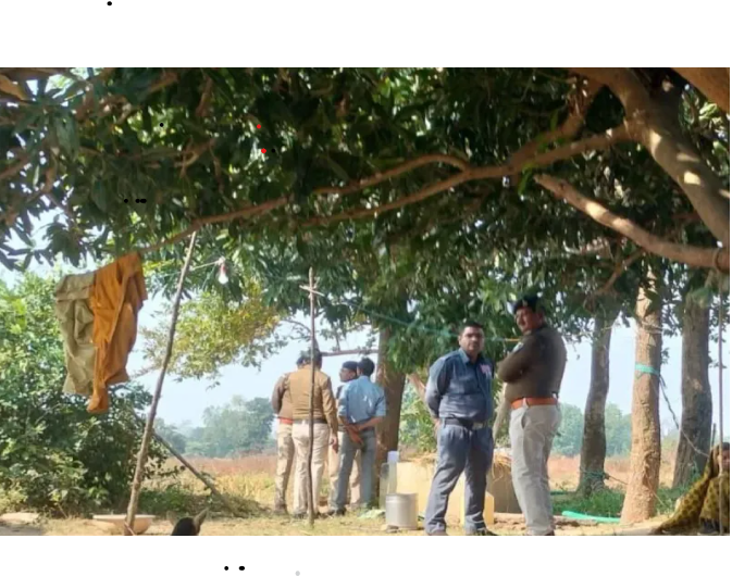 Screenshot 2025 11 15 202652 1