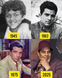 images 31396733439483098178